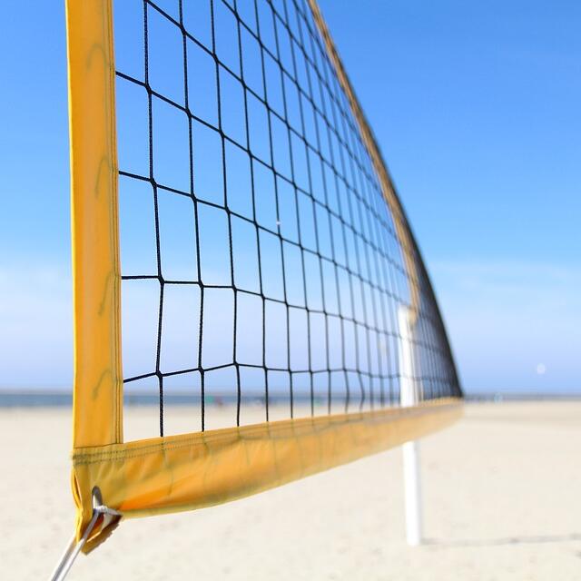 Jaring Olahraga Serbaguna deng - Badminton Net ulasan dan harga