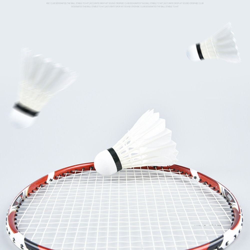 3/6/12 Buah Shuttlecock Bulu T - Feather Shuttlecock ulasan dan harga