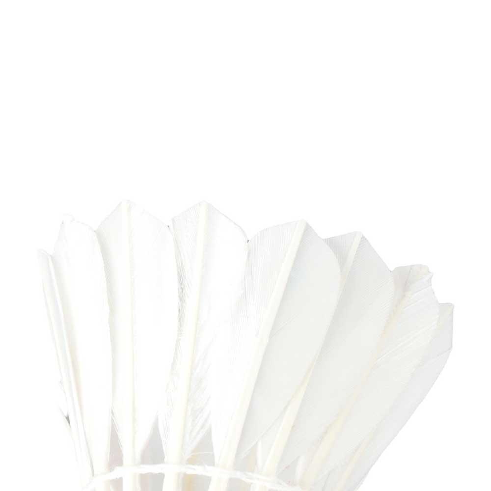 Karet Elastis untuk Olahraga,  - Feather Shuttlecock ulasan dan harga