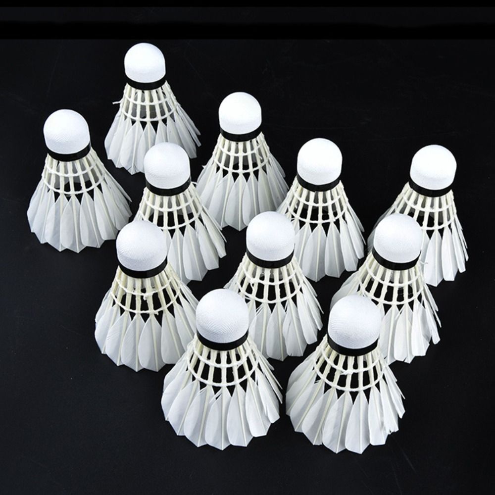 3/6/12 Buah Shuttlecock Bulu T - Feather Shuttlecock ulasan dan harga