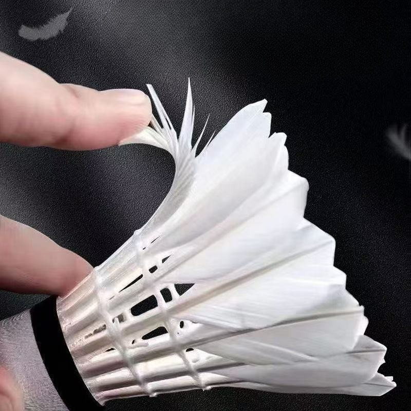 Bola Bulutangkis Bulu Angsa Pr - Feather Shuttlecock ulasan dan harga